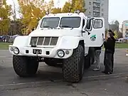 Den rabotnikov lesa