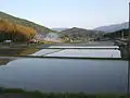 炭所の田の風景