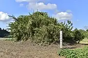 泥内古墳（でろうじこふん）