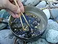 海水で茹でた貝