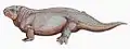 Diadectes