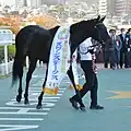 スワンステークス