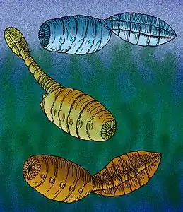 古虫動物