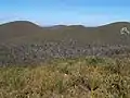 イギリスの荒野であるヒース