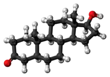 A ball-and-stick model of dihydrotestosterone.{{{画像alt2}}}
