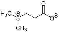 DMSPの構造式