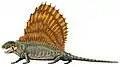 D. grandis (Case 1907) テキサス州で発見された大型種。全長3.2m。低い頭蓋骨が特徴。