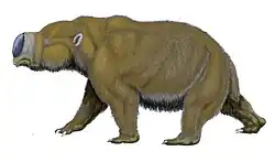 ディプロトドン（ディプロトドン科）