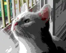 図2. Webセーフカラーに減色した画像（ディザリング無し）