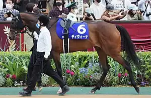 ディヴィーナ