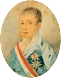 Painting showing the head and shoulders of a boy wearing a high collar and a coat adorned with medals and a striped sash of office