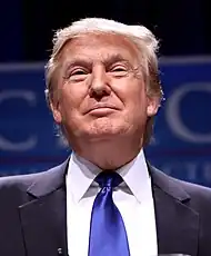ダニエルズ （2010年）とトランプ （2011年）