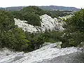 屯鶴峯