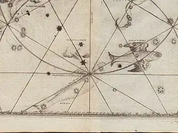 ヨハン・バイエル『ウラノメトリア』（1603年）に描かれた Dorado と Piscis Volans（とびうお座）。