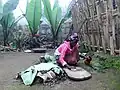 エンセーテからパンを作るドルゼ族（英語版）の女性