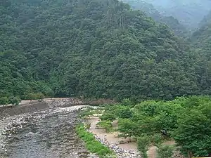 道志川 2003年7月29日撮影