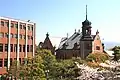同志社大学