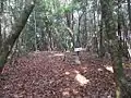 頂上三角点