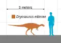 人間との大きさ比較