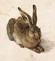 『野うさぎ』、1502年、紙に透明水彩とガッシュ