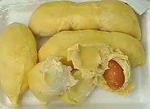 ドリアンの種子は可食部(仮種皮)に包まれている