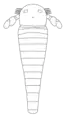 Dvulikiaspis menneri