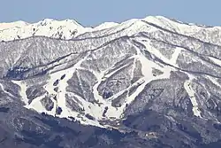 東側から望むダイナランドの全景（2019年3月9日撮影）
