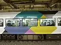E257系2号車ブロックパターン