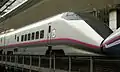 E311形0番台(E311-1)