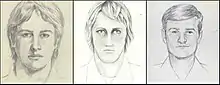 Sketch of the golden state killer