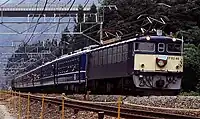 EF62 46＋12系下り「さよなら碓氷峠号」