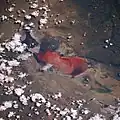 タンザニアのナトロン湖