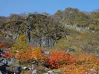 麦草岳の東面の紅葉