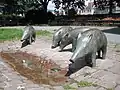 イノシシの泉