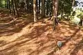 蛭子山3号墳