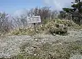 頂上
