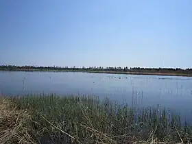 越後沼
