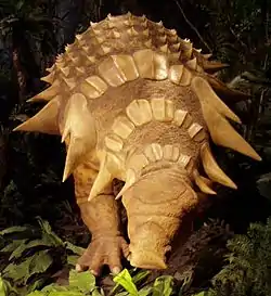 エドモントニア