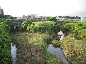 江川 2006年8月21日撮影
