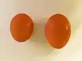 Comparison of an egg and a maxi egg with a double-yolk - Closed (1/2)