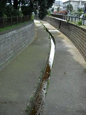 江古田川 江古田の森公園脇 2010年5月8日撮影