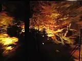 「もみじのトンネル」を走行する列車（2007年11月、前面展望）
