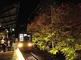 ライトアップイベントの様子（2007年11月）