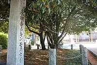 永明寺のキンモクセイと石碑。2023年10月24日撮影。