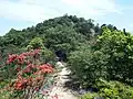 山頂直前