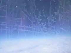 十字状の霜