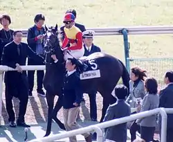 エルコンドルパサー