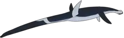 エラスモサウルス