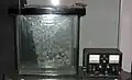 電気泳動装置