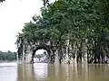 象鼻山